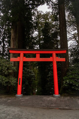 japanese temple red torii in the woods