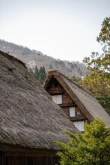 japanese old wooden house in the forest mountain