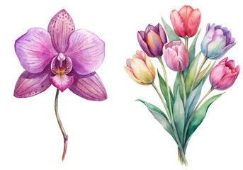 Vibrant watercolor flowers, elegant orchid design, colorful tulip bouquet, botanical illustration, floral art print. © Creep