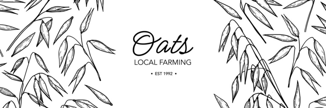 Oat plant vector seamless pattern. Hand drawn oat ears branch botanical background.