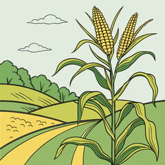 corn on the cob with leaves