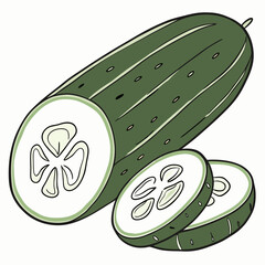 illustration of a cucumis sativus vector design