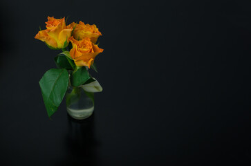 Yellow roses wit orange tips, flowers in glass bottle vase on a black table