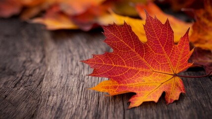 High-quality close-up photograph of a vibrant red autumn maple leaf resting on a rustic wooden surface