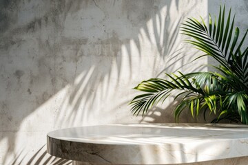 Minimalistic Luxury: White Marble Counter Table with Palm Tree and Concrete Wall Background for Organic Cosmetic Display