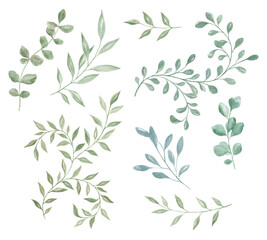 Watercolor leaves, hand drawn, botany. Green twigs. Set of elements for decorating cards, wedding invitations. Decor. Watercolor texture. Spring, summer.