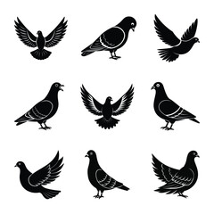 Bundle of pigeon silhouette vector illustration