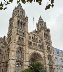 Fototapeta premium Natural History Museum London