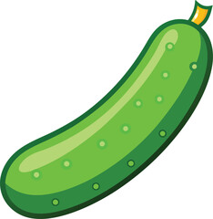 Hand drawn  vector cucumber isolated on white background.