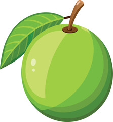 guava fruit vector with white background