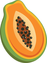 papaya  white background. Vector illustration.