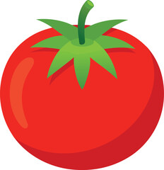 Tomato isolated. Tomato on white background. Perfect retouched tomato side view.