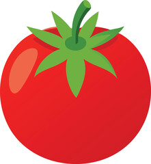 Tomato isolated. Tomato on white background. Perfect retouched tomato side view.