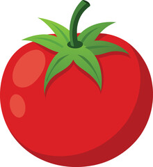 Tomato isolated. Tomato on white background. Perfect retouched tomato side view.