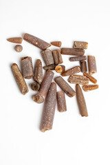 Belemnite Fossils on white background. Cretaceous period fossil