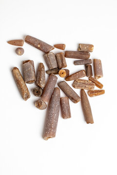 Belemnite Fossils on white background. Cretaceous period fossil