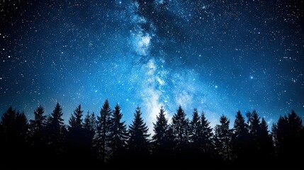   The sky is filled with stars and tree silhouettes contrast against the night background