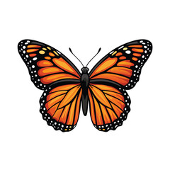 Generate a detailed vector illustration of a monarch butterfly with a focus on its wing pattern and colors.