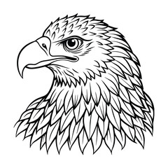 Hand-drawn eagle flying drawing illustration