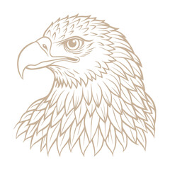 Hand-drawn eagle flying drawing illustration
