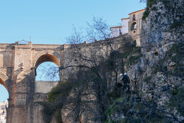 Two climbers are descending a rocky cliff face near the Puente Nuevo bridge in Ronda, over el Tajo...