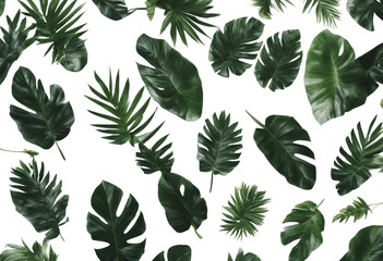 Naklejka premium Tropical leave top view flay lay blank mock up aesthetic empty in the middle isolated on transparent background