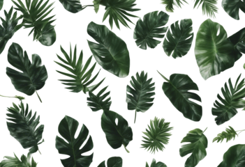 Tropical leave top view flay lay blank mock up aesthetic empty in the middle isolated on transparent background