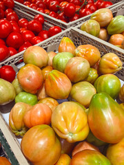 Fresh Red Bulgarian Tomatoes Background 