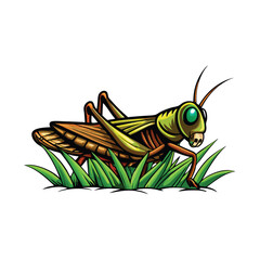 Vector illustration of a grasshopper sitting on a blade of grass, green and brown colors.