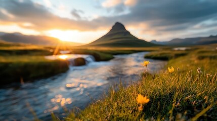 A charming view at golden hour, showcasing a mountain silhouette against the vibrant sky, with a flowing river and delicate flowers foregrounding nature's beauty.