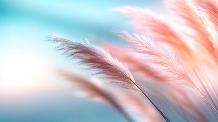 Fleeting moments of fluffy grass blades highlighted by the golden hue of a sunset, embodying nature’s elegance and evoking feelings of calmness and peace.