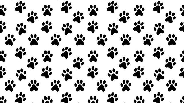 Seamless black and white Dog Paw 4k animation black pet paw loop animation with a white background veterinary or pet lover animated hd background