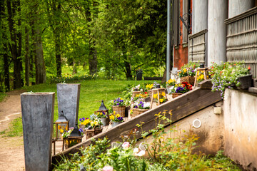 Wooden Staircase with Potted Flowers and Lanterns in Rustic Setting
