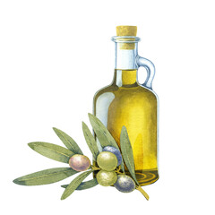 Watercolor olive oil bottle branch green. Hand painted floral illustration element olives fruit tree branches leaves isolated background. Drawings food. Edible foliage. For fabric wrapping decor