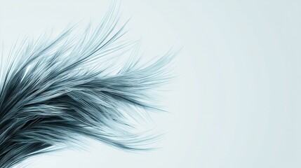 Fototapeta premium Black & white image of a plant with elongated, feathery hair on its head