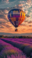 Hot Air Balloon over Lavender