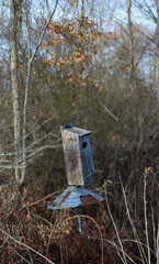 abandon bird house in the woods