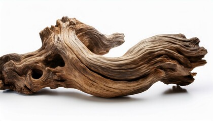 twisted driftwood isolated on white background n
