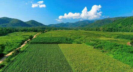 Lush Green Farm Landscape.
