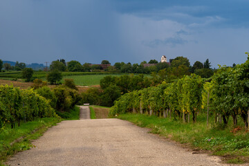 View over vineyards and meadows before a thunderstorm, white tower in the background