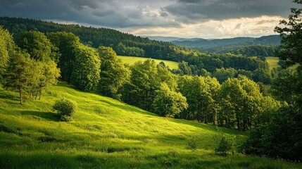 Obraz premium Lush Green Landscape with Rolling Hills and Dramatic Sky