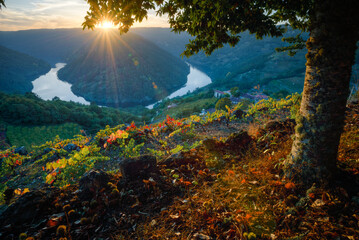 Dusk falls over the vineyard covered slopes in Ribeira Sacra