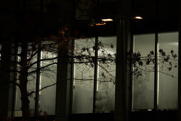 Obraz premium Office Building with Large Windows Viewed from Outside at Night. An office space with large, illuminated windows is captured from an exterior perspective during the evening or night.