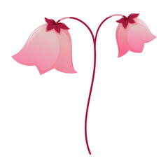 Beautiful flower pink bell single isolated on white background. Botanical clipart. Perfect for cards, logo, decorations, spring and summer designs.