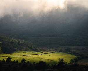 Sunlight filters through a gap in dense fog and briefly illuminates a meadow