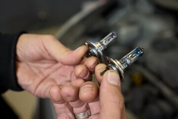 Hands skillfully holding car headlight bulbs in order to carry out a replacement task