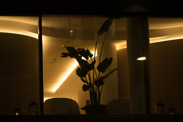 At night, the building with numerous windows becomes fully illuminated, creating a stunning visual...