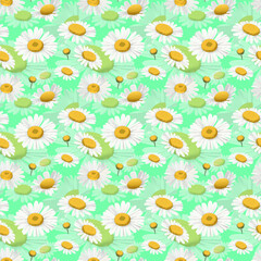 Seamless Pattern with Daisy Blooms Everywhere