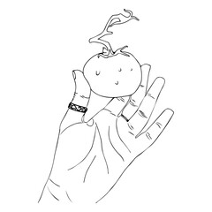 Tomato in hand. Vector illustration isolated on white background.