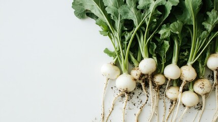 Freshly harvested turnips with green leaves on white background.